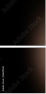 58659562