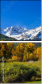 58691776