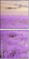 58710194