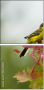 58740604