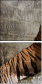 58756900