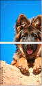 58783058