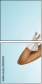 58845034
