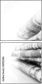 58912446