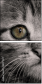 58977217