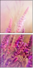 58998785