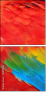 59019361