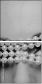 59364579