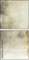 59412994