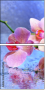 59560560