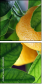 59633815