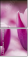 59655482