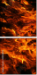 59859879