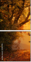 59871115