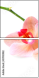 59913982