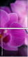 59923716