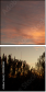 59928266