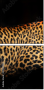 59934153