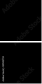 59945759