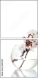 60152991