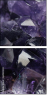 60182328