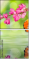 60212594