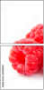 60281045