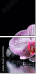 60313286