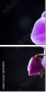 60354843