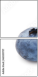 60359707