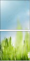 60450374