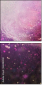 60483140
