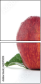 60597899