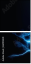 60913301
