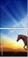 60981945