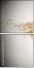 61139260