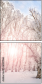 61239166