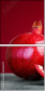 61560577