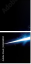 61606804