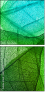 61732715