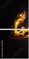 61751589