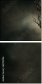 62092106