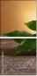 62168381