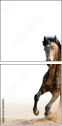62618176