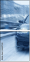 62657550