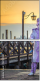 62901581