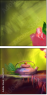 62921717