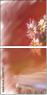 62921720