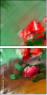62921723