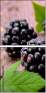 62957499
